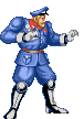 police